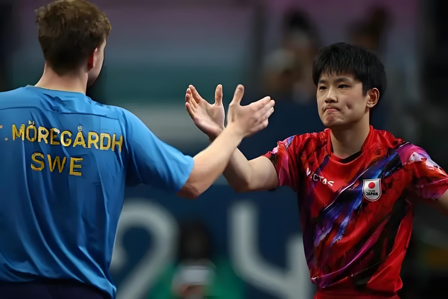 波兰队碾压德国队，张本智和高光表现的简单介绍