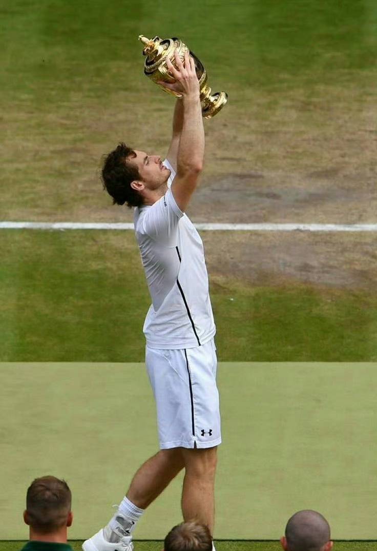 美网轻取温网，穆雷刷新纪录的简单介绍