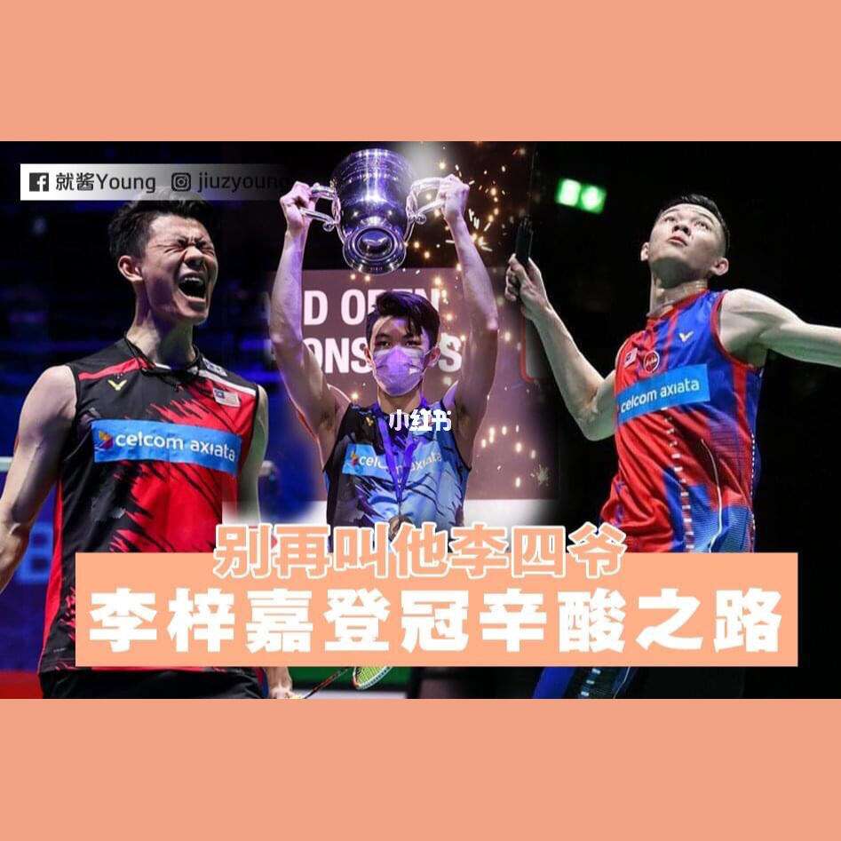 丹麦队横扫泰国队，李梓嘉统治全场