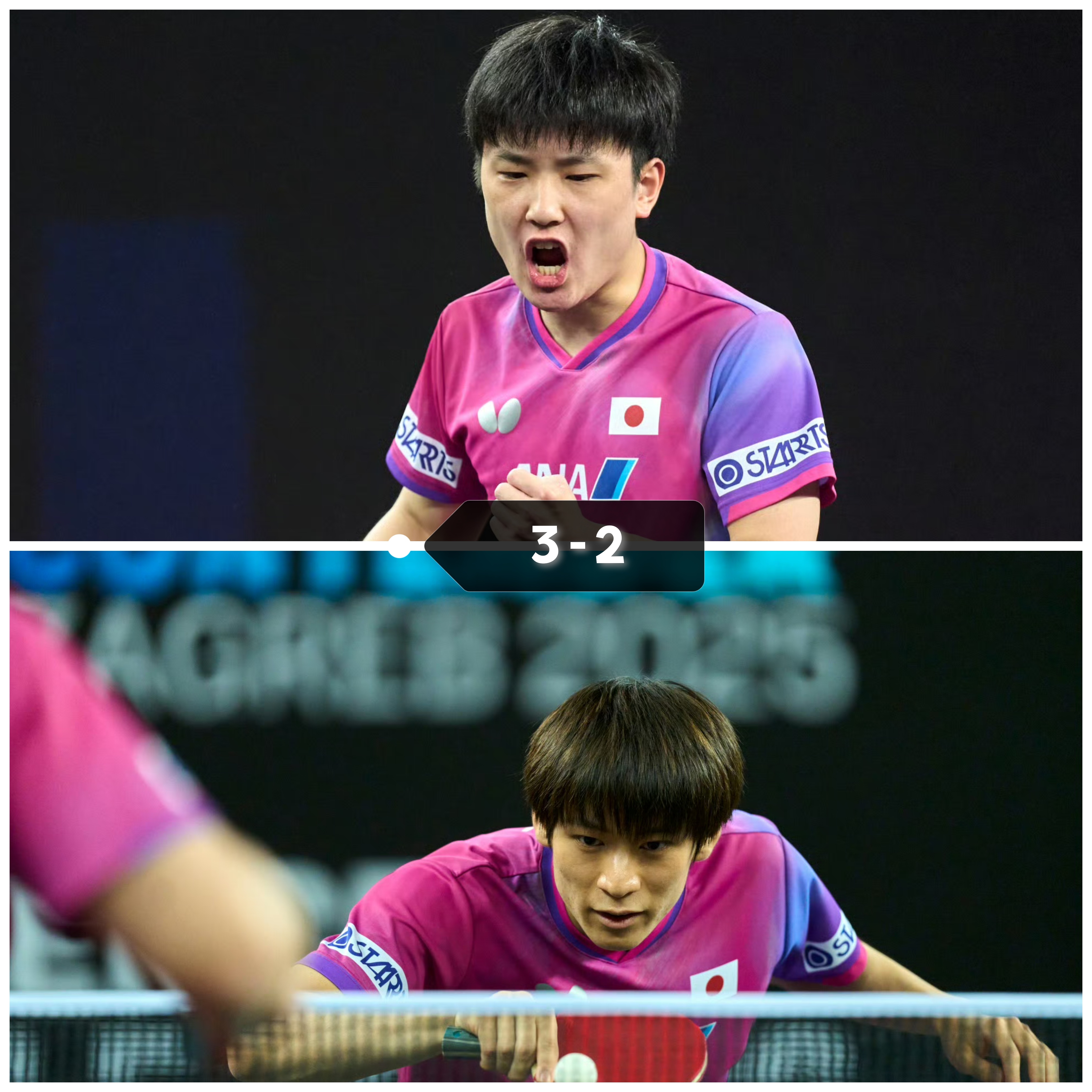 奥地利队横扫英格兰队，张本智和刷新纪录