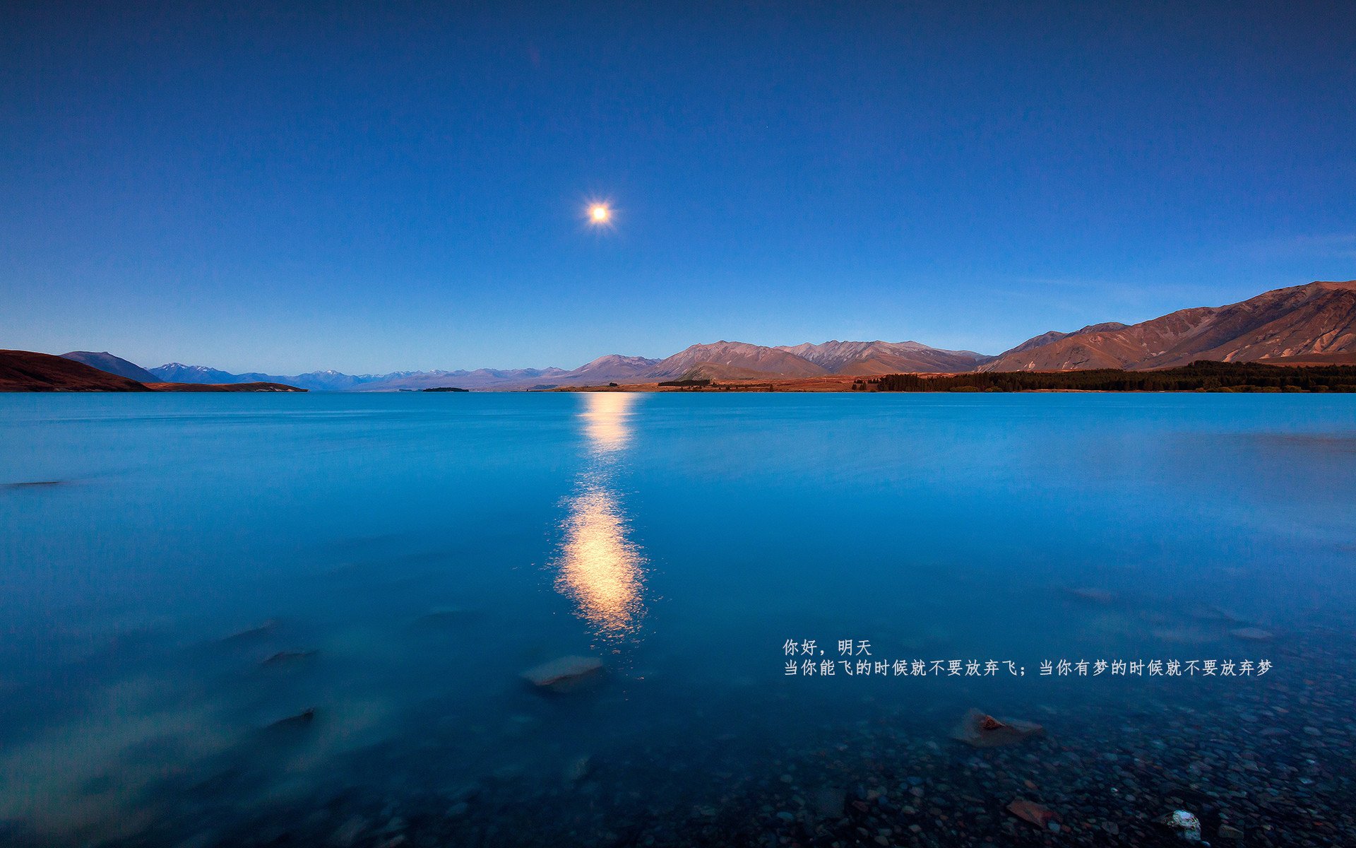 德甲争冠白热化，荷兰爆冷掀翻哥伦比亚！足球周末的冰与火之歌