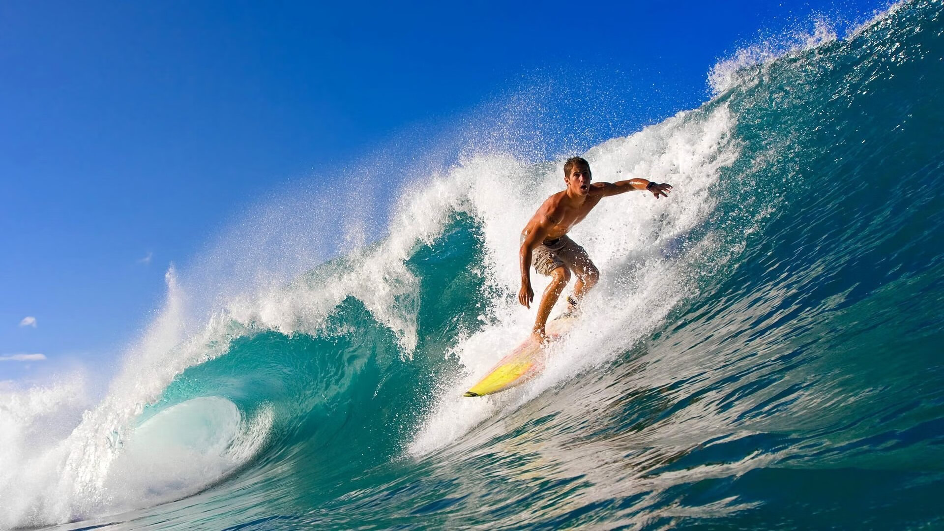 文班亚马惊天一刺杀出冠军路！广厦跨联盟击溃森林狼